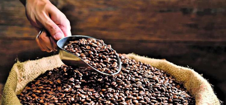 Veneno en café, la caña y maíz Veneno en café, la caña y maíz