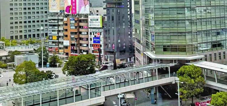 Productos potosinos a Japón Productos potosinos a Japón