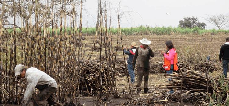 Cañeros huastecos acusaron extorsión Cañeros huastecos acusaron extorsión