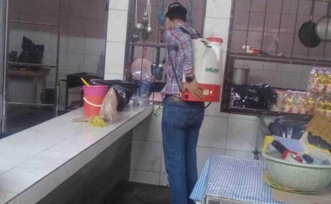 Plagas causan daños en salud y economía
