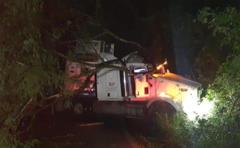 TRÁILER SE SALIÓ DE LA CARRETERA      
