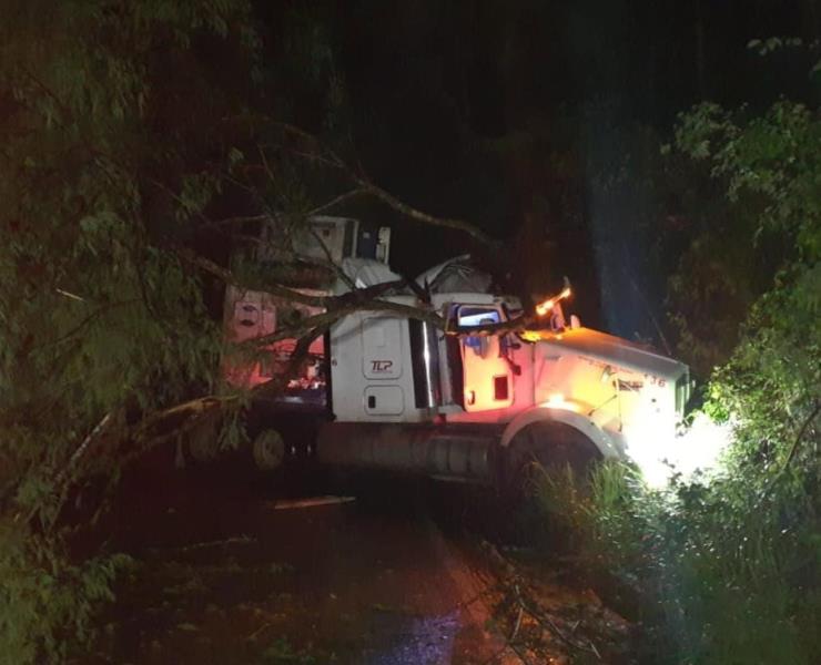 TRÁILER SE SALIÓ DE LA CARRETERA      

