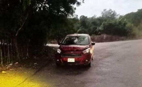 Vehículo se impacta contra animal en la carretera Tamazunchale–Álamo