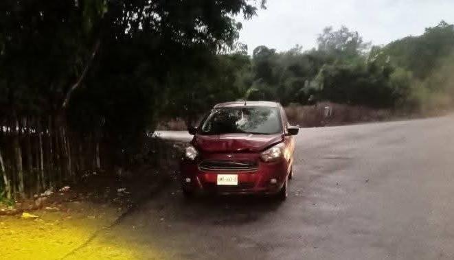 Vehículo se impacta contra animal en la carretera Tamazunchale–Álamo