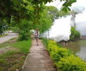 Disminuyen 50% casos de dengue