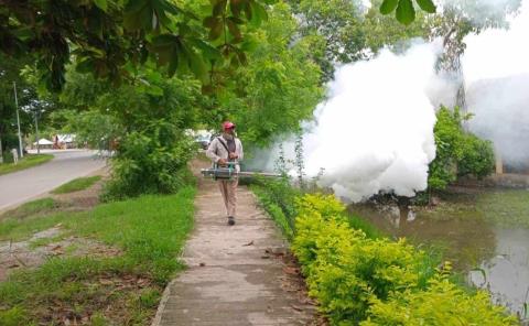 Disminuyen 50% casos de dengue
