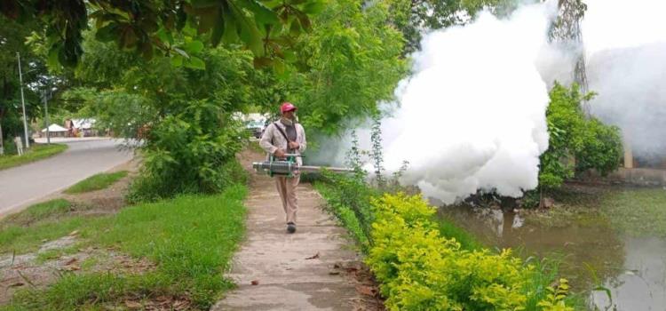 Disminuyen 50% casos de dengue Disminuyen 50% casos de dengue