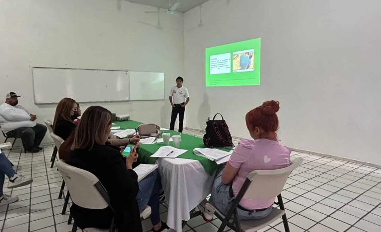 Ofrecen la terapia  psicológica gratis 