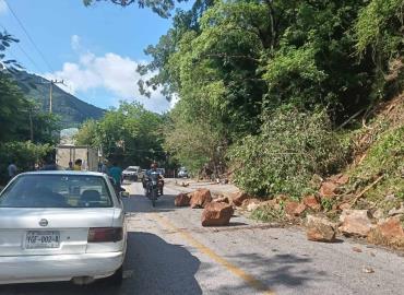 Acciones inmediatas en beneficio de Tamán