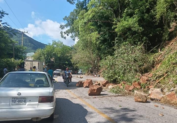 Acciones inmediatas en beneficio de Tamán