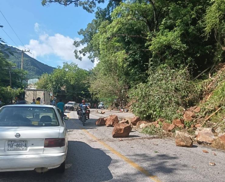 Acciones inmediatas en beneficio de Tamán