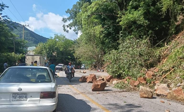 Acciones inmediatas en beneficio de Tamán