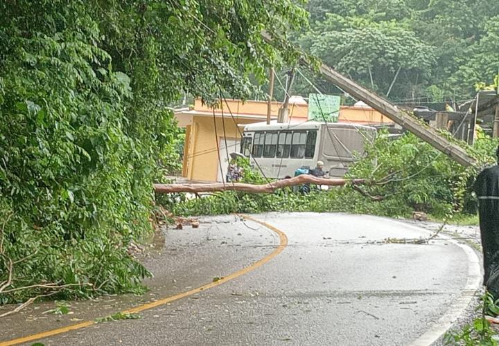 CARRETERA FEDERAL BLOQUEADA