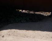 Agropecuaria esparce  "desechos" en la calle