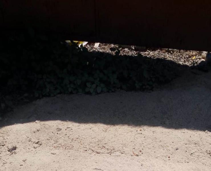 Agropecuaria esparce  "desechos" en la calle
