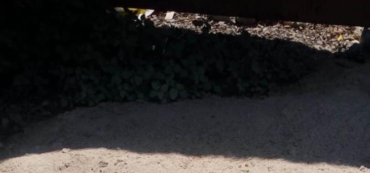 Agropecuaria esparce  "desechos" en la calle