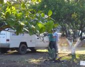 Recuerdan en Tamazunchale tragedia que enlutó a familias de trabajadores
