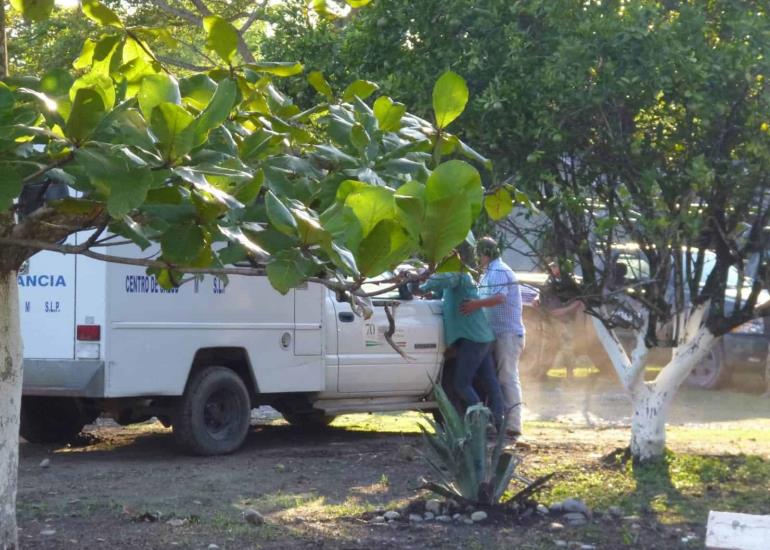 Recuerdan en Tamazunchale tragedia que enlutó a familias de trabajadores