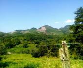 Desaparece la selva huasteca