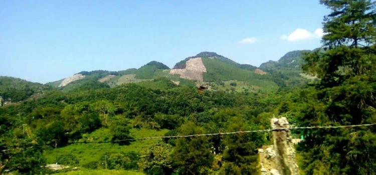 Desaparece la selva huasteca