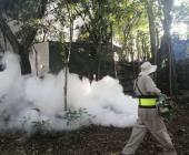 Refuerzan limpieza y  fumigación municipal