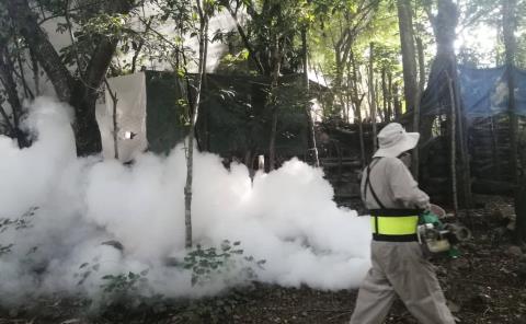 Refuerzan limpieza y  fumigación municipal

