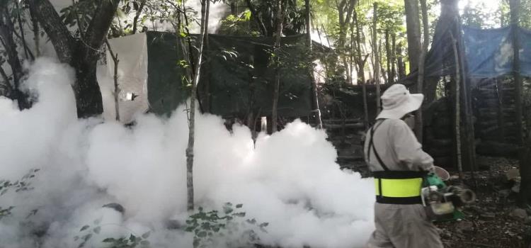 Refuerzan limpieza y  fumigación municipal