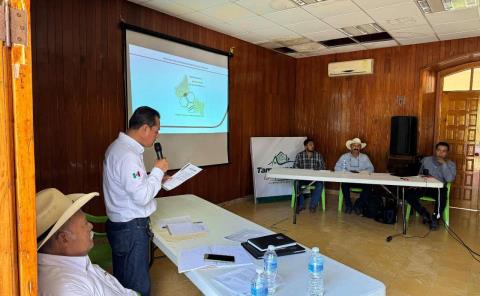 Buscan impulsar producción de miel en la Huasteca 

