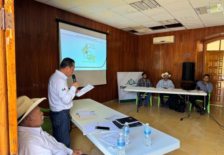 Buscan impulsar producción de miel en la Huasteca 