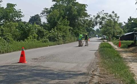 Realizan trabajos de mantenimiento en carretera de La Providencia