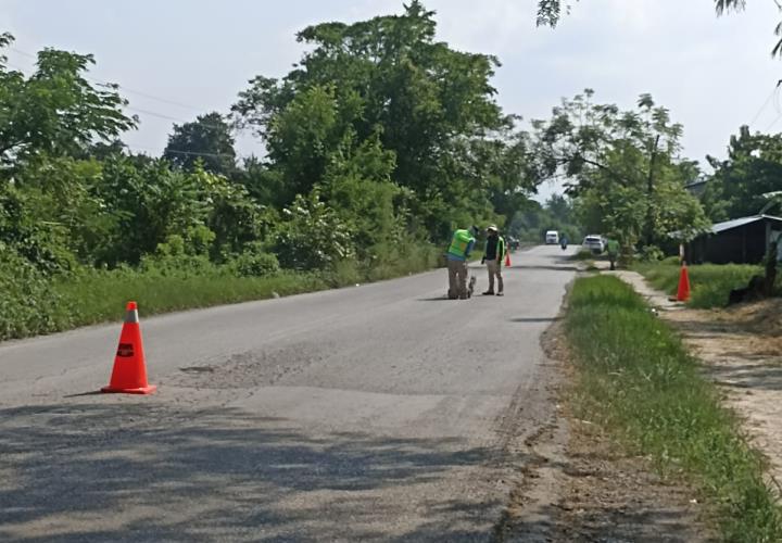 Realizan trabajos de mantenimiento en carretera de La Providencia