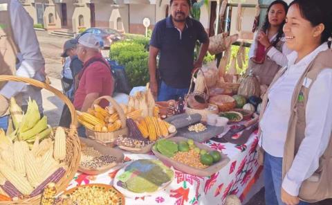 Realizan el Festival del Maíz en la Plaza
