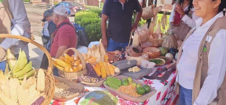 Realizan el Festival del Maíz en la Plaza