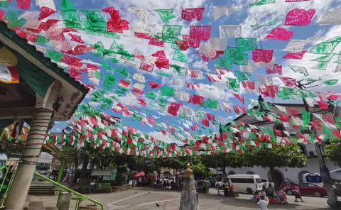 Comenzará retiro de ornamenta en la plaza