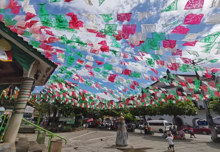 Comenzará retiro de ornamenta en la plaza
