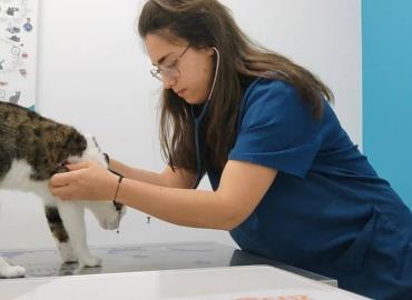 Lanzan jornada de consultas para mascotas en Matlapa
