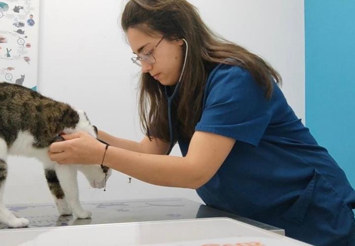 Lanzan jornada de consultas para mascotas en Matlapa