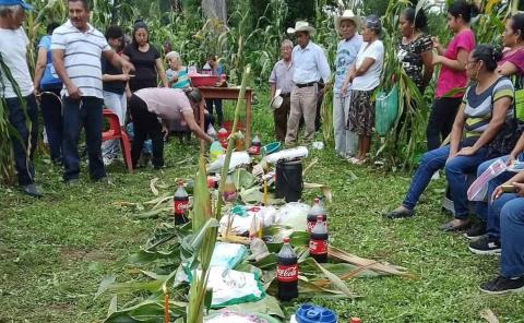Celebraron el Día del Maíz
