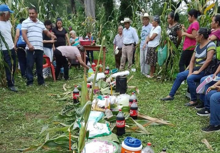 Celebraron el Día del Maíz