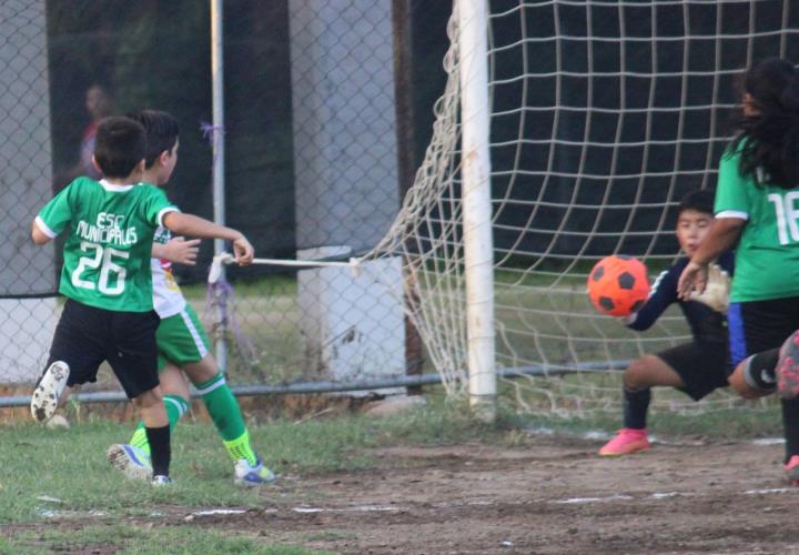 Academia Municipal de Futbol Pony se perfilan a semifinales