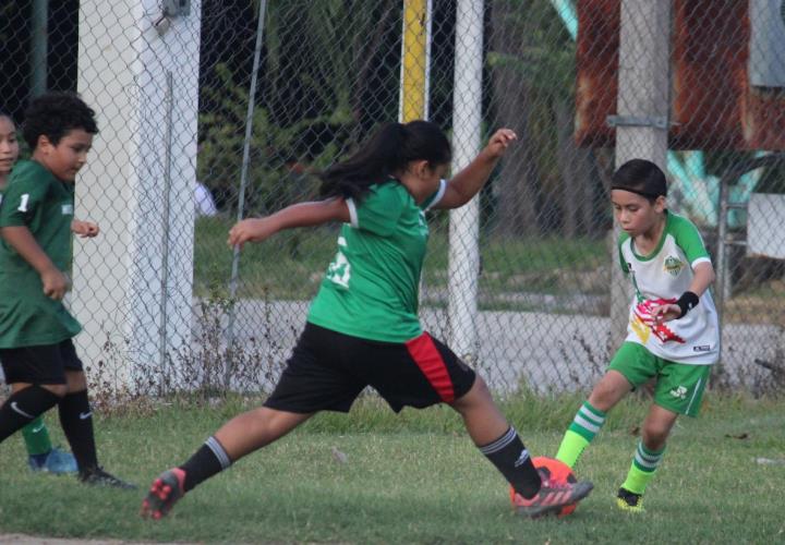Academia Municipal de Futbol Pony se perfilan a semifinales