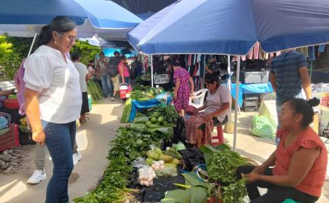 Supervisan comercio en Matlapa para garantizar orden