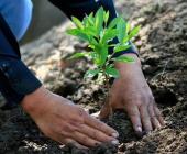 PVEM impulsa jornada ecológica en San Jerónimo