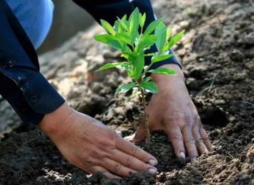 PVEM impulsa jornada ecológica en San Jerónimo