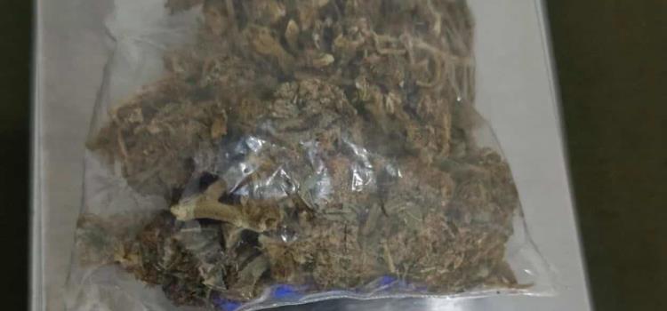 Marihuano fue llevado preso Marihuano fue llevado preso