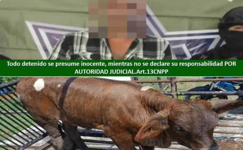 Detuvo la municipal a presunto abigeo                                  
