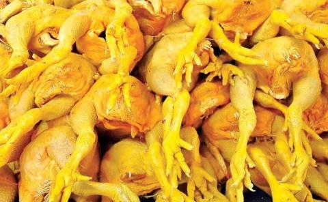 Cierran puertas al pollo "gringo"         
