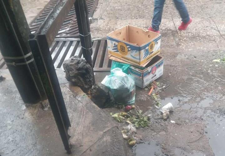 Piden a comerciantes de la calle Hidalgo respetar horarios de recolección de basura