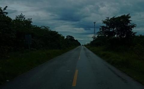 Aparece ´extraño´ ser en Laguna del Mante
