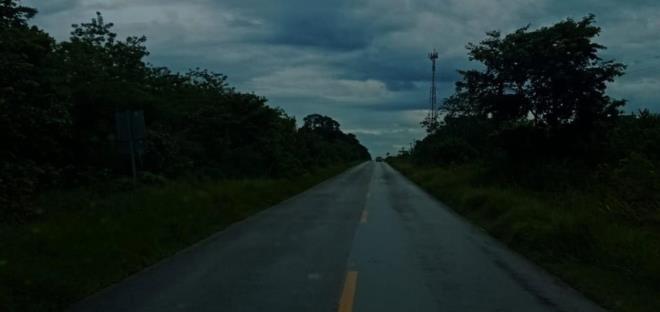 Aparece ´extraño´ ser en Laguna del Mante
